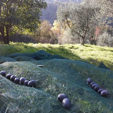 Gli Olivi Country House Vila *